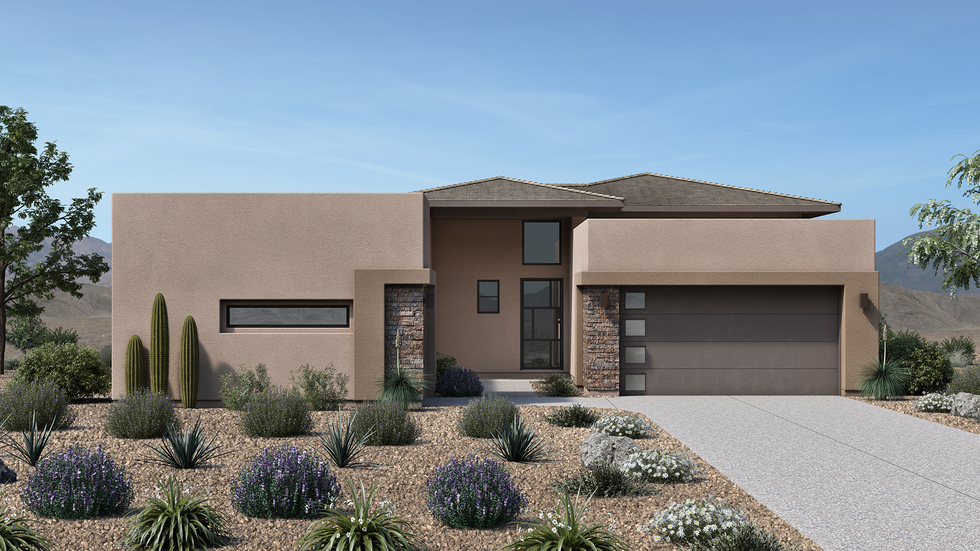  Desert Contemporary