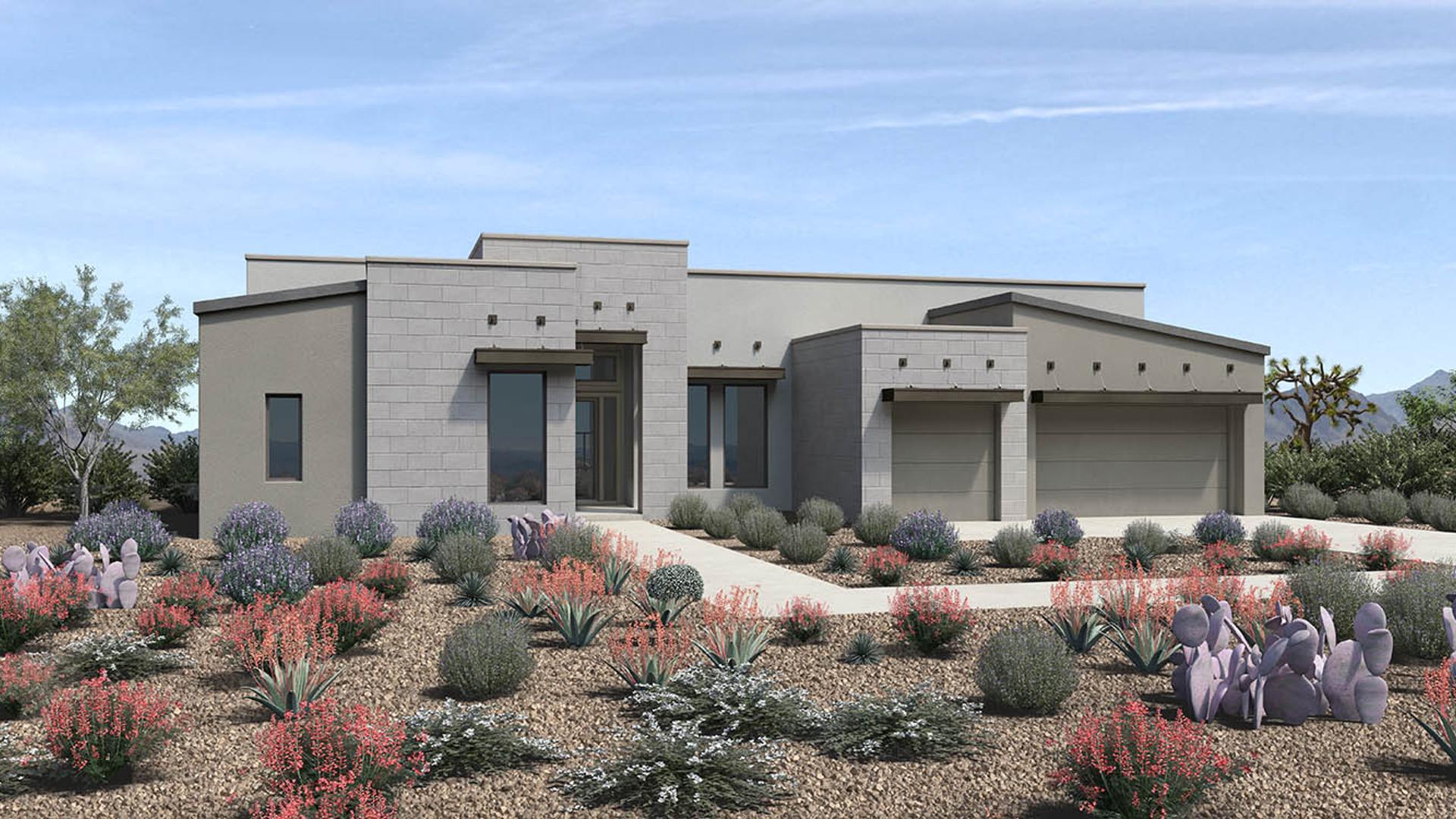 Desert Contemporary